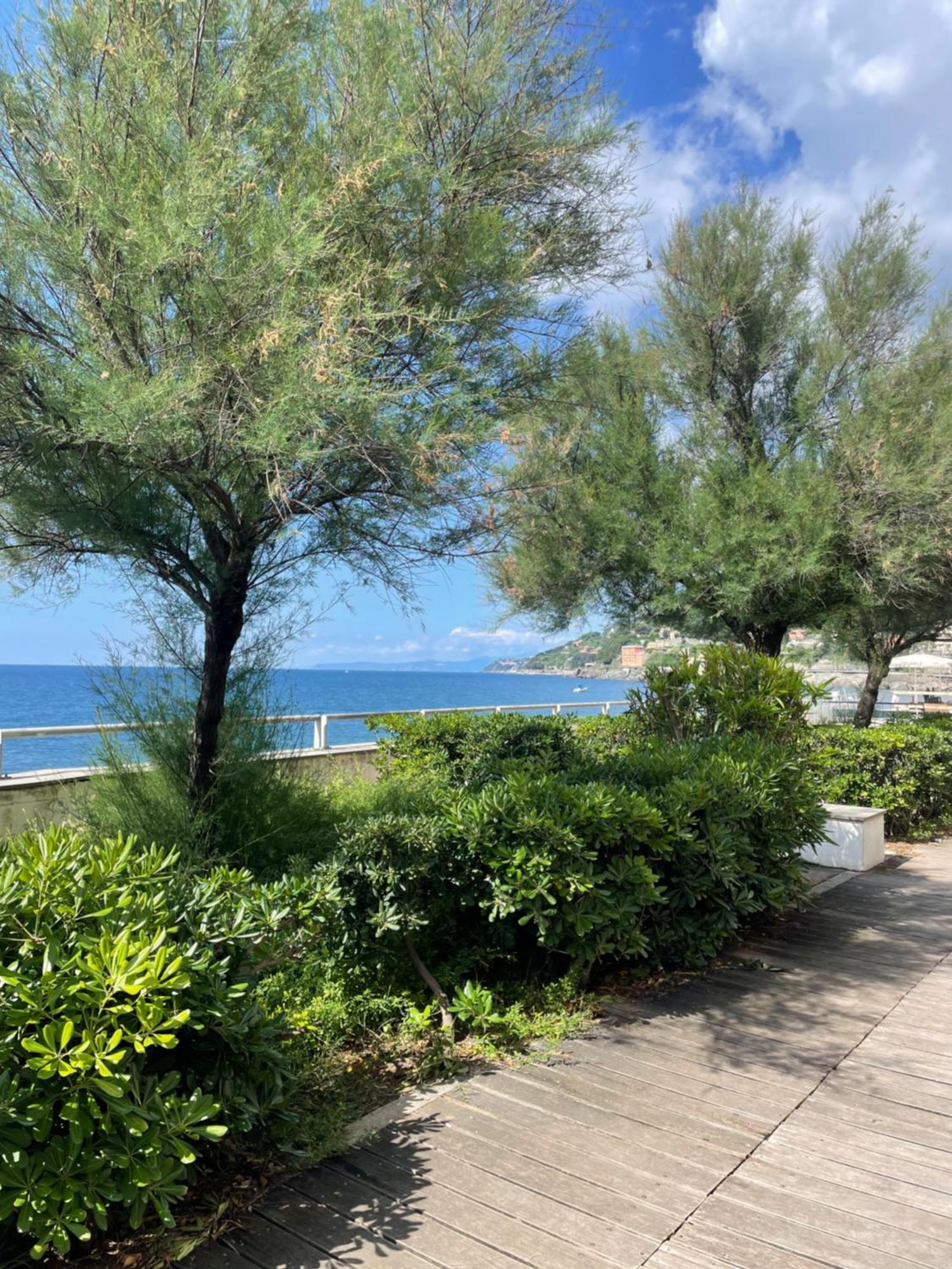 Appartamento Sea La Vie Cenova Dış mekan fotoğraf